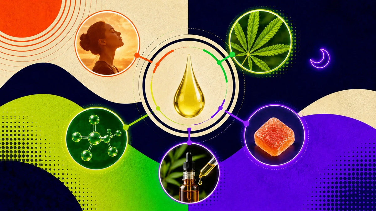 CBD Définition : qu’est-ce que le cannabidiol ?