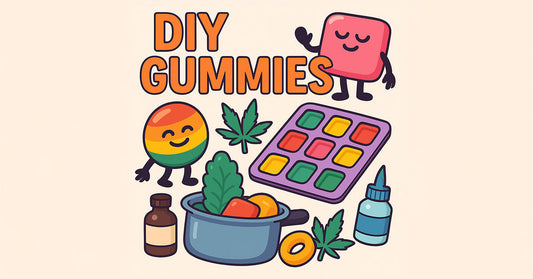 Comment faire ses propres gummies CBD, THC ou muscimol à la maison ?