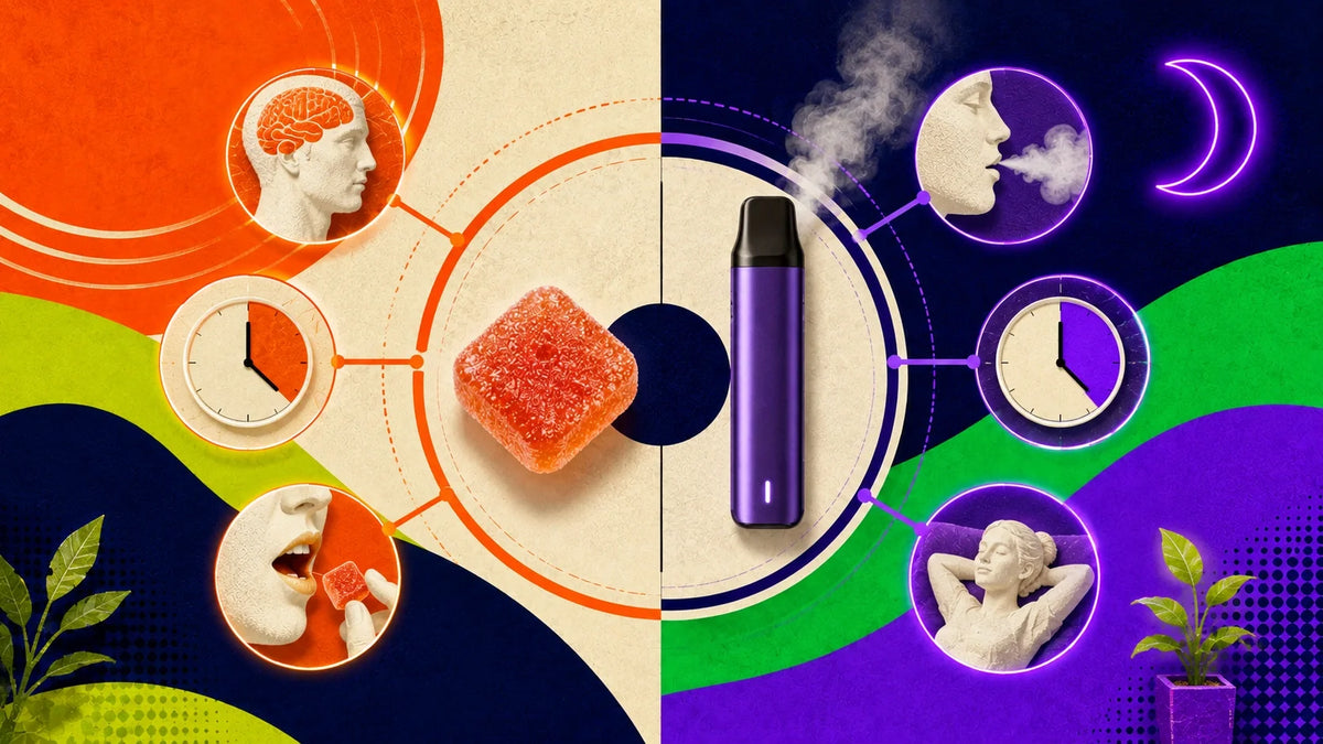 Edible THC vs puff THC : différences, effets et lequel choisir