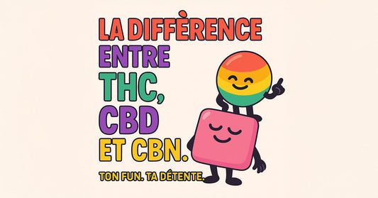 La différence entre THC CBD et CBN