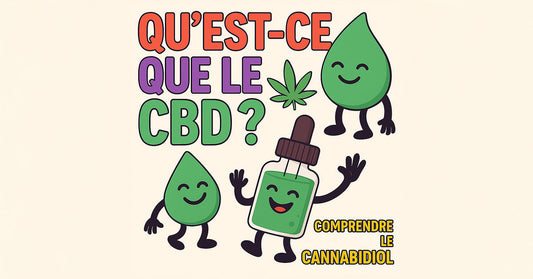 CBD Définition : qu’est-ce que le cannabidiol ?