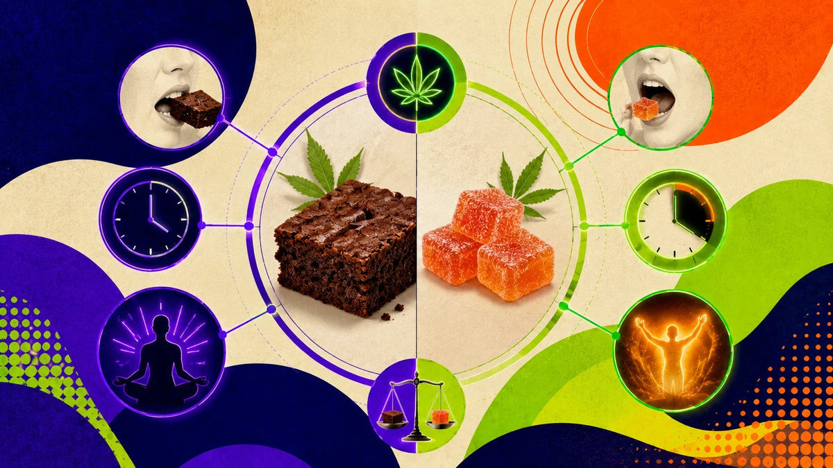 Space cake vs gummies THC : le comparatif honnête (2026)
