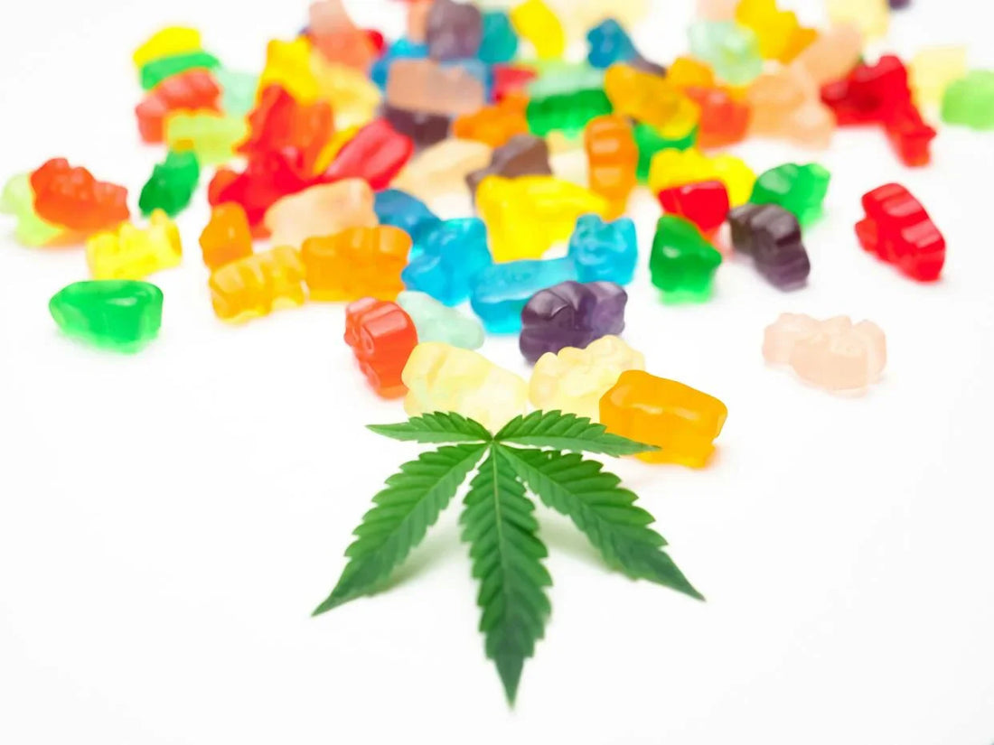 Gummies THC Avis : Ce Que Disent Vraiment Les Utilisateurs en 2026