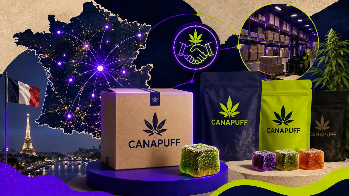 Canapuff : Avis, produits, effets en France 2026