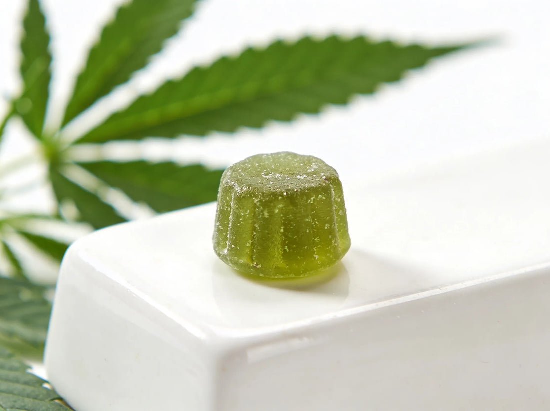 Système endocannabinoïde : comment CBD et THC agissent sur le corps