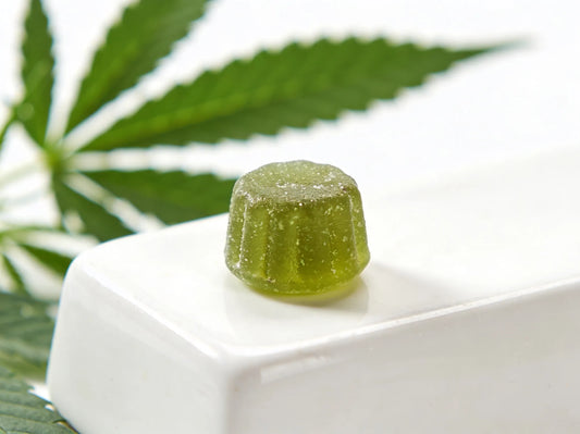 Système endocannabinoïde : comment CBD et THC agissent sur le corps