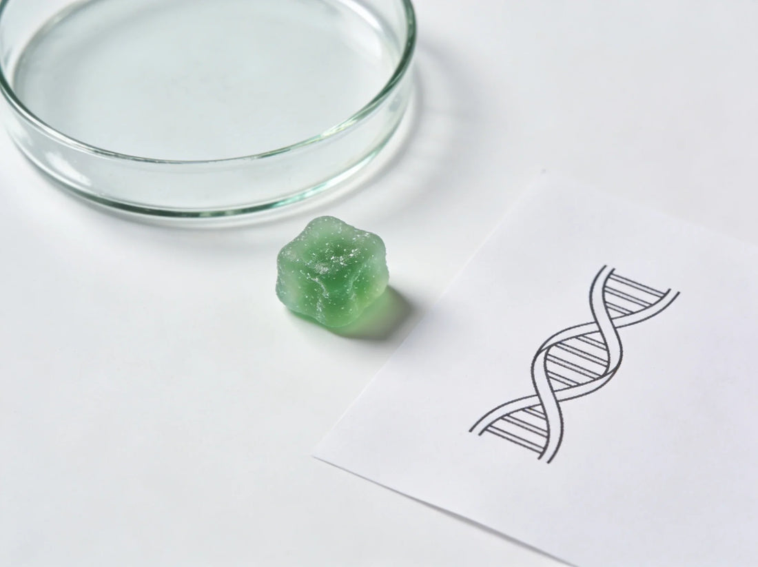 Le CBD contre le VIH : ce que dit la nouvelle étude de l'Inserm (2026)