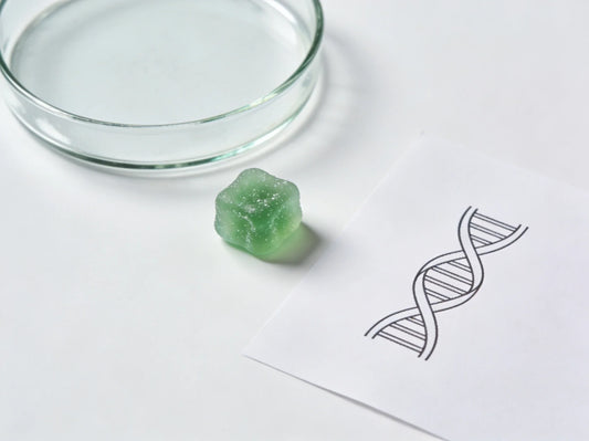 Le CBD contre le VIH : ce que dit la nouvelle étude de l'Inserm (2026)