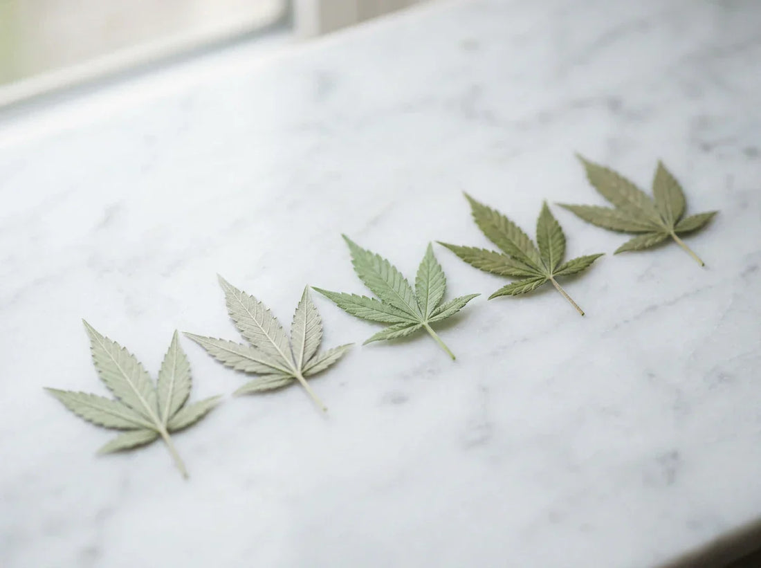 Delta-9, Delta-8, HHC, THCP : guide cannabinoïdes France 2026