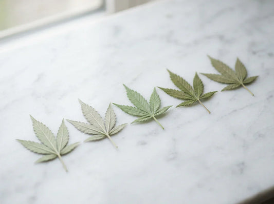 Delta-9, Delta-8, HHC, THCP : guide cannabinoïdes France 2026
